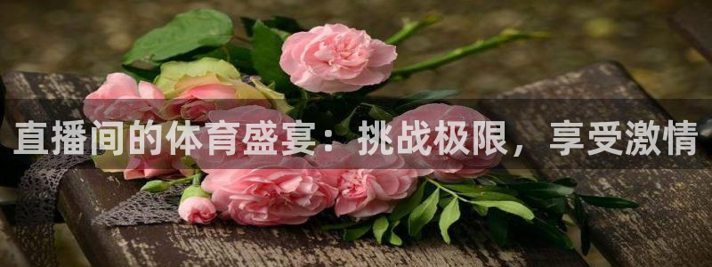直播间的体育盛宴：挑战极限，享受激情