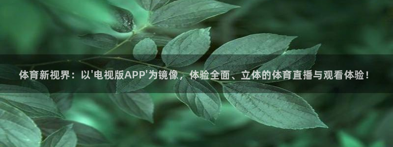 体育新视界：以\'电视版APP\'为镜像，体验全面、立体的体育直播与观看体验！
