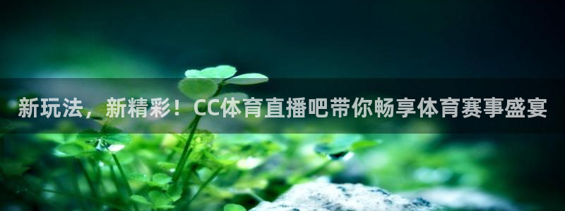 新玩法，新精彩！CC体育直播吧带你畅享体育赛事盛宴