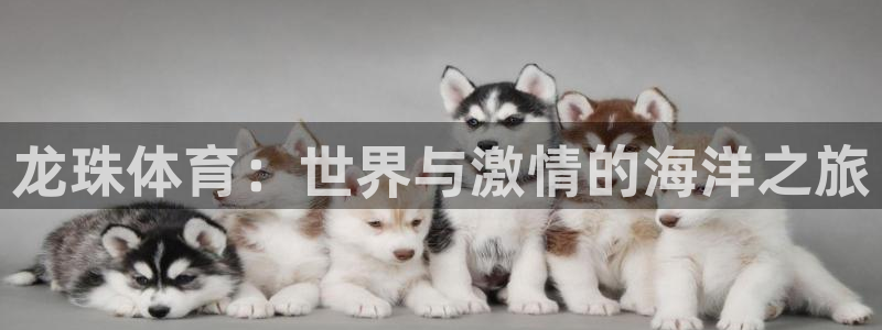 龙珠体育：世界与激情的海洋之旅